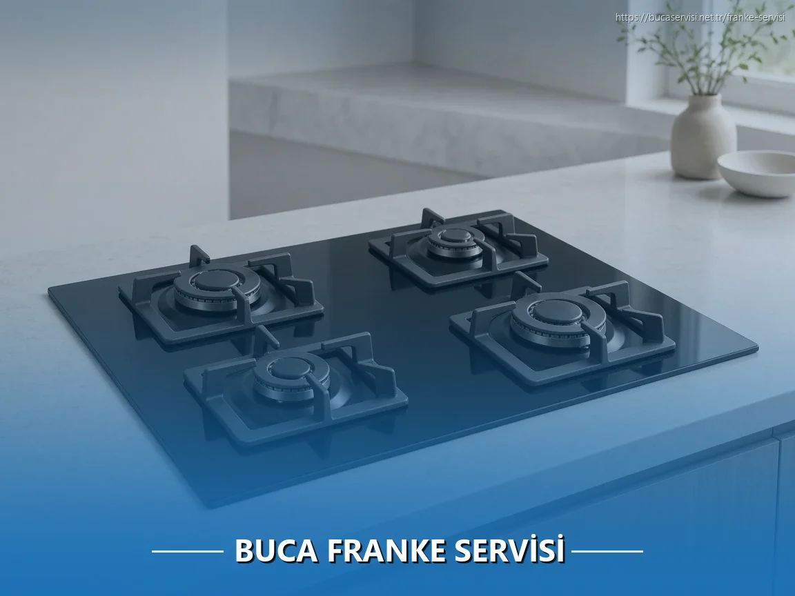 Buca Franke Servisi